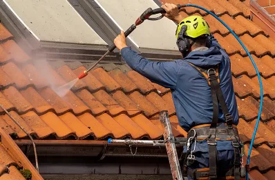 Démoussage et hydrofuge de toiture à Ingouville